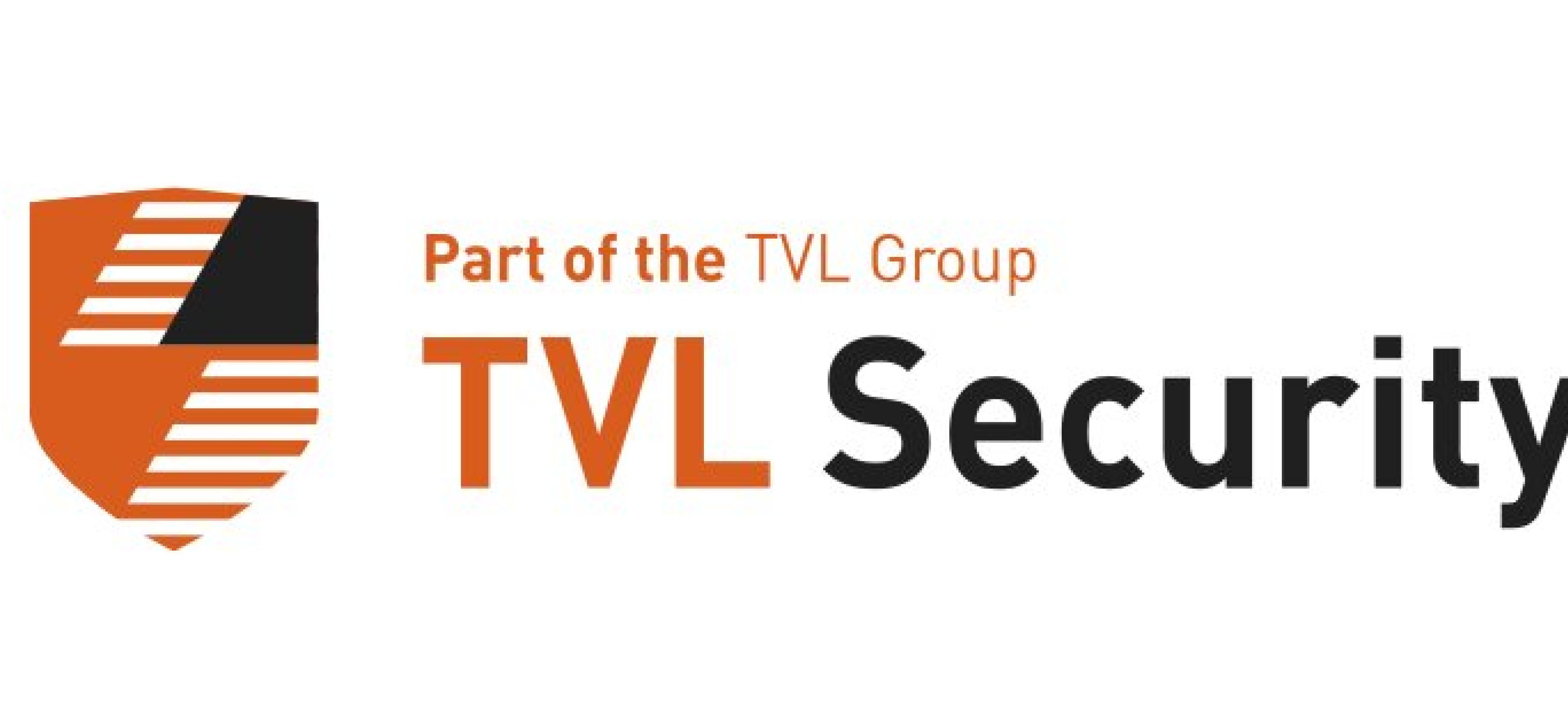 First Time Buying Van Security?